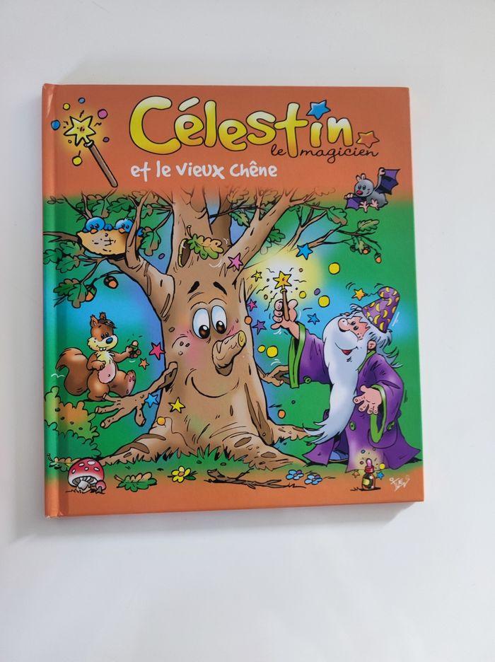 Lot 2 livres jeunesse Célestin le magicien - photo numéro 2