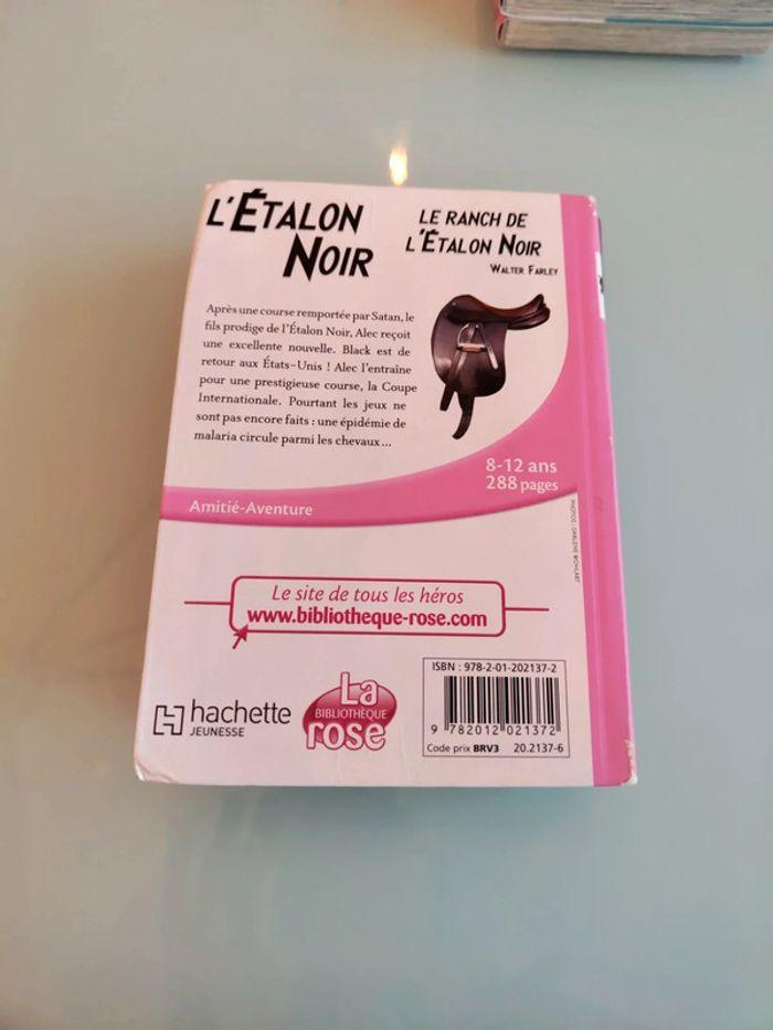 Le ranch de l'étalon noir tome 3 - photo numéro 2