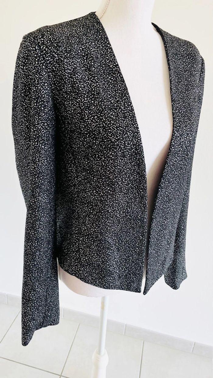 Blazer mim noir et argent - photo numéro 6