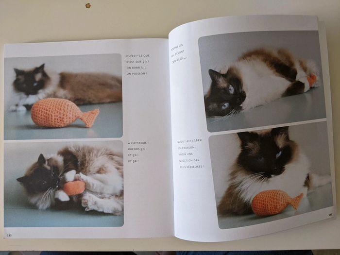 Livre DIY pour les amoureux des chats - photo numéro 7