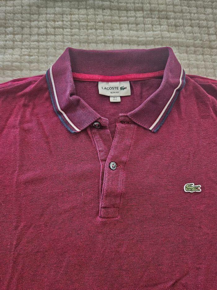 Polo bordeaux - photo numéro 3