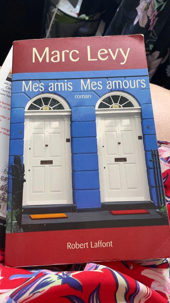 Livre Mes amis mes amours - photo numéro 1