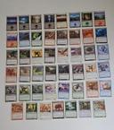 Lot de 47 cartes Magic The Gathering