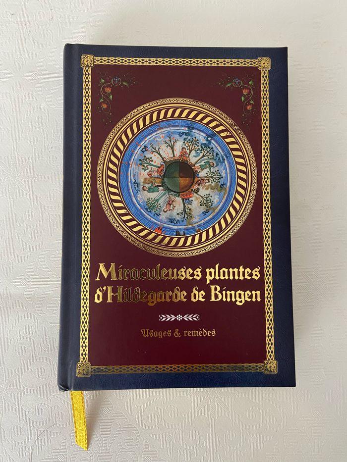 Miraculeuses plantes d'Hildegarde de Bingen : Usages et remèdes - photo numéro 1