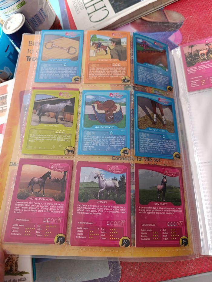 Classeur cartes chevaux - photo numéro 3