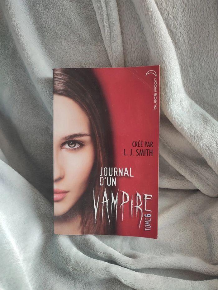 Journal d'un vampire tome 6 vampire diaries L.J Smith - photo numéro 1