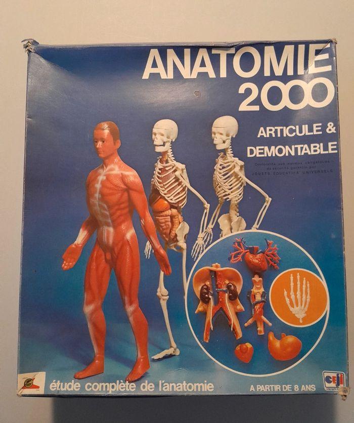 Jeu Éducatif / Anatomie 2000 / CEJI - photo numéro 1