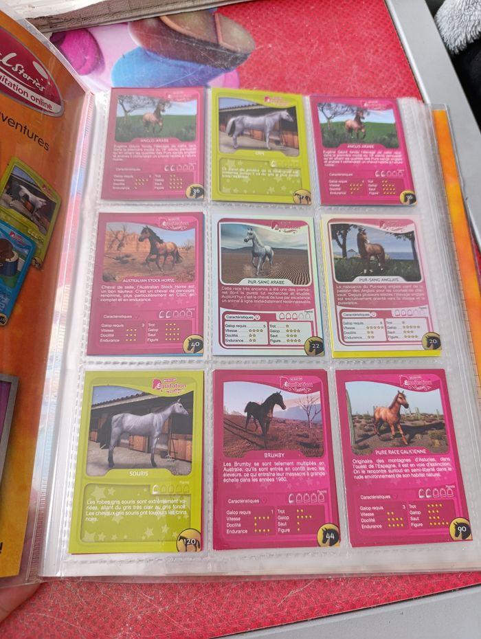 Classeur cartes chevaux - photo numéro 2