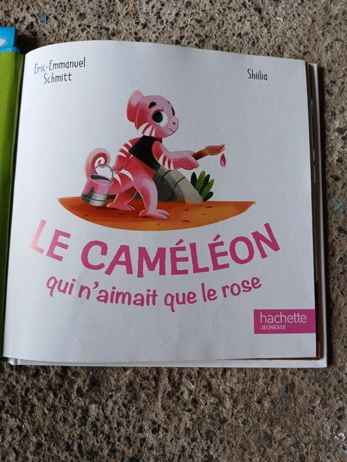 Livre enfants Le caméléon qui n aimait pas le rose - photo numéro 7