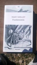 Frankenstein (Mary Shelley)