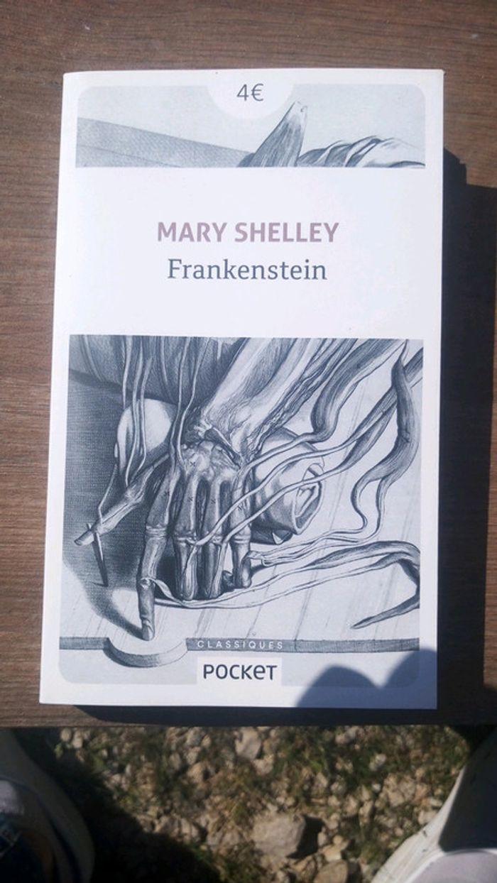 Frankenstein (Mary Shelley) - photo numéro 1