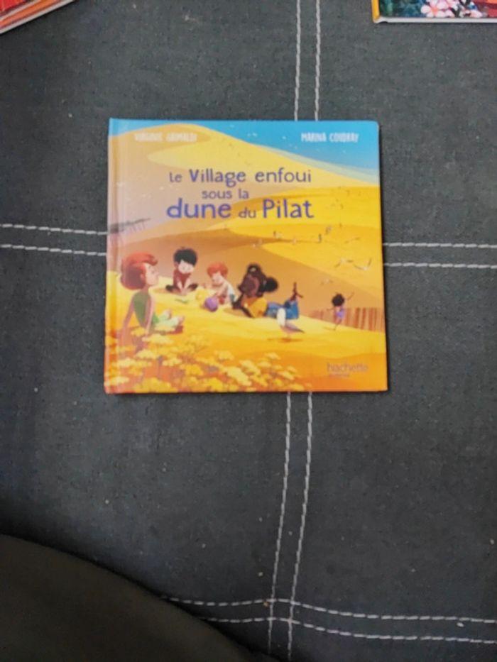 Livre le village enfoui sous la dune du pilat - photo numéro 1