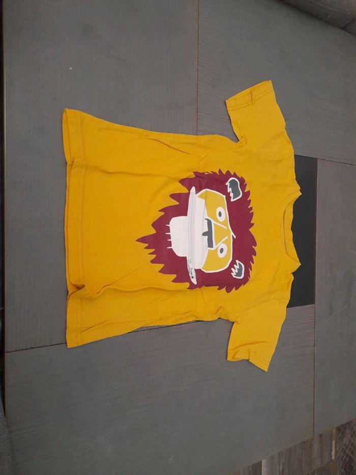 Lot de 2 tee-shirt lion jumeaux - photo numéro 2