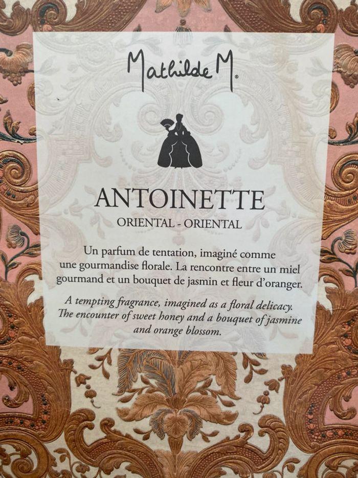 Diffuseur de parfum d'ambiance MATHILDE M. ANTOINETTE 90ml neuf avec étiquettes - photo numéro 5