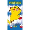 Drap de bain / plage Pokémon Neuf