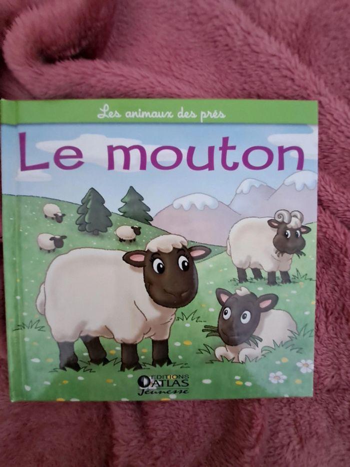 Le mouton - photo numéro 1