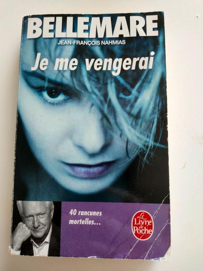 Livre : Je me vangerai - photo numéro 1