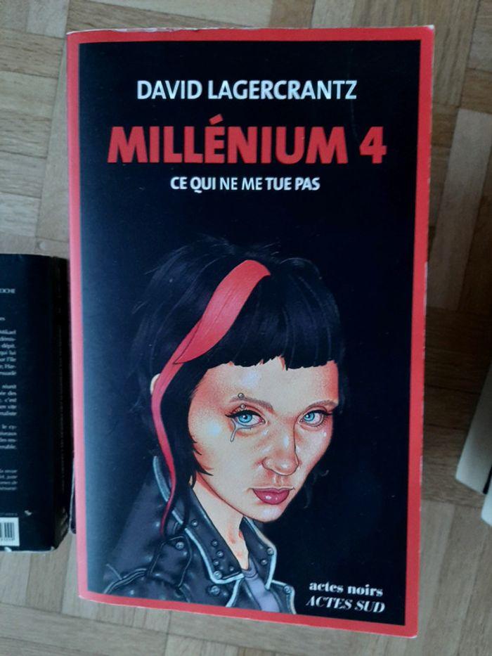 Millenium tome 4 - photo numéro 1