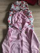 Lot 2 vestes sweat