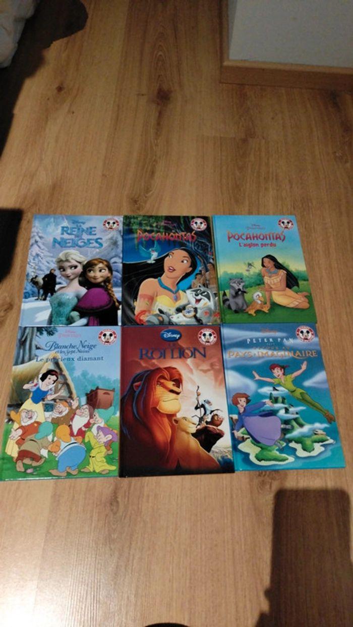 Lot de 22 livres Disney (dont 2 doubles) - photo numéro 4