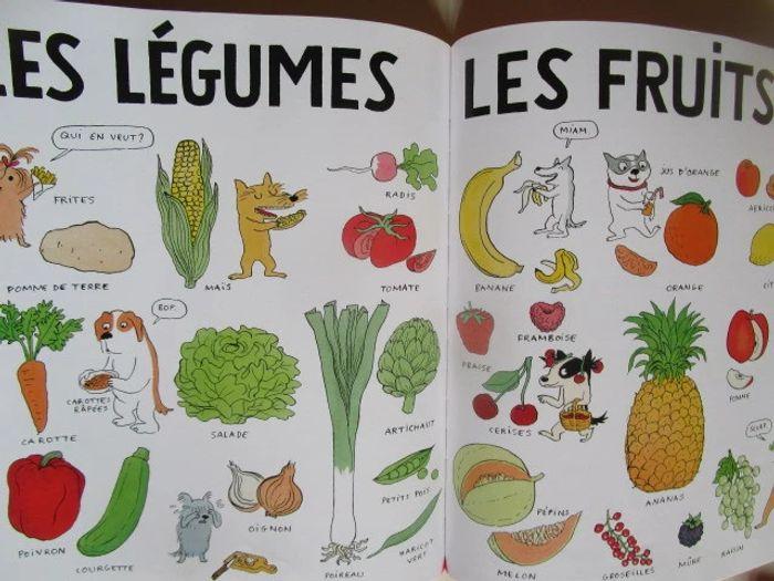 Tout tout sur les toutous - Ecole des Loisirs - photo numéro 9