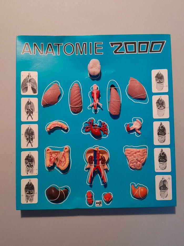 Jeu Éducatif / Anatomie 2000 / CEJI - photo numéro 4