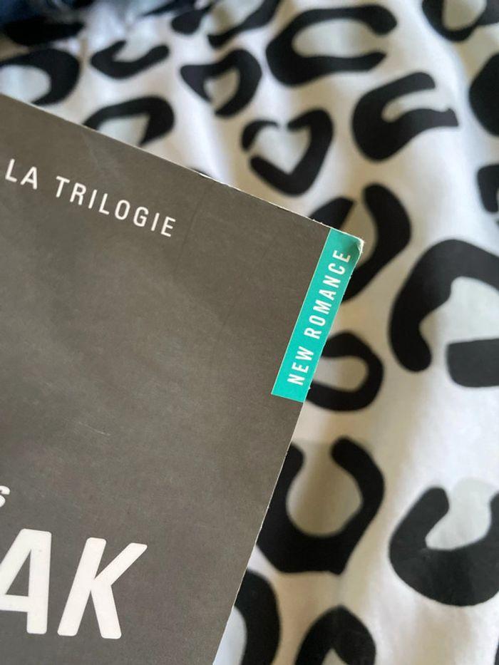 Livre unbreak me dernier volet - photo numéro 4