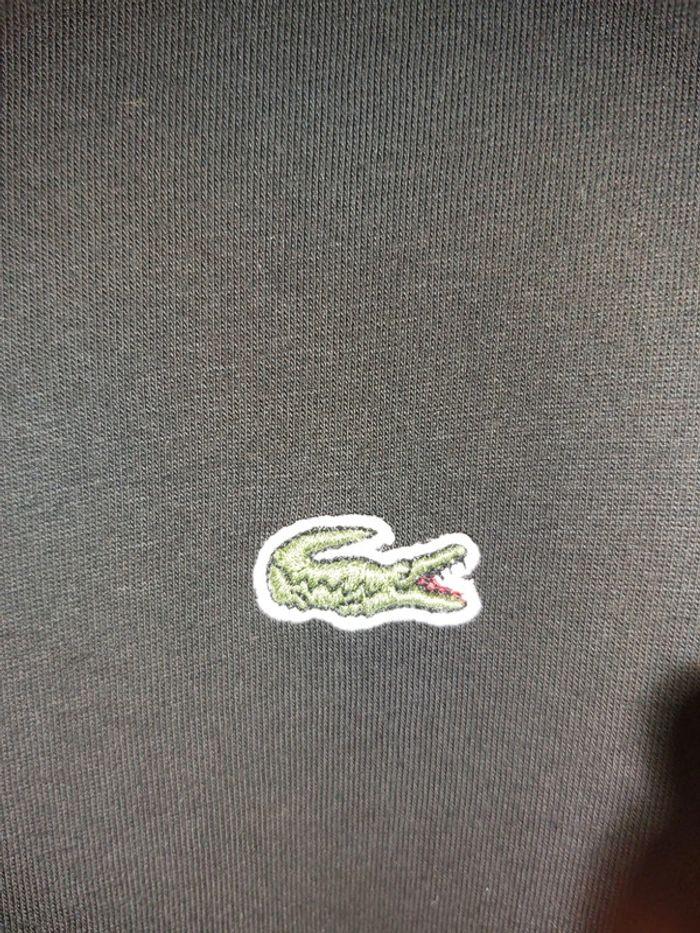 T shirt Lacoste - photo numéro 3