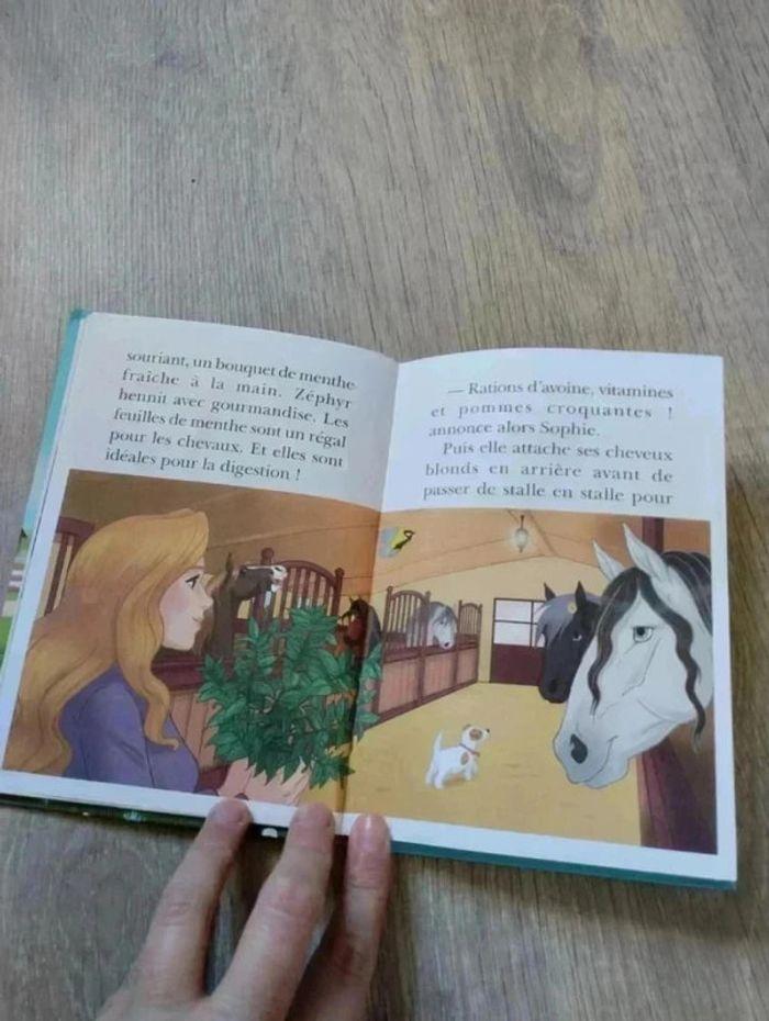 🌺 Livre Mes amis les chevaux La bibliothèque rose - photo numéro 2