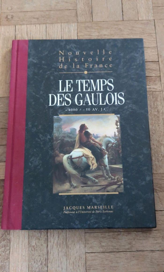 Le temps des gaulois - photo numéro 1