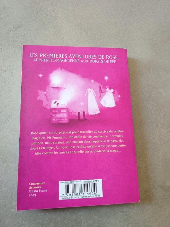 Livre Rose et la maison du magicien - photo numéro 2