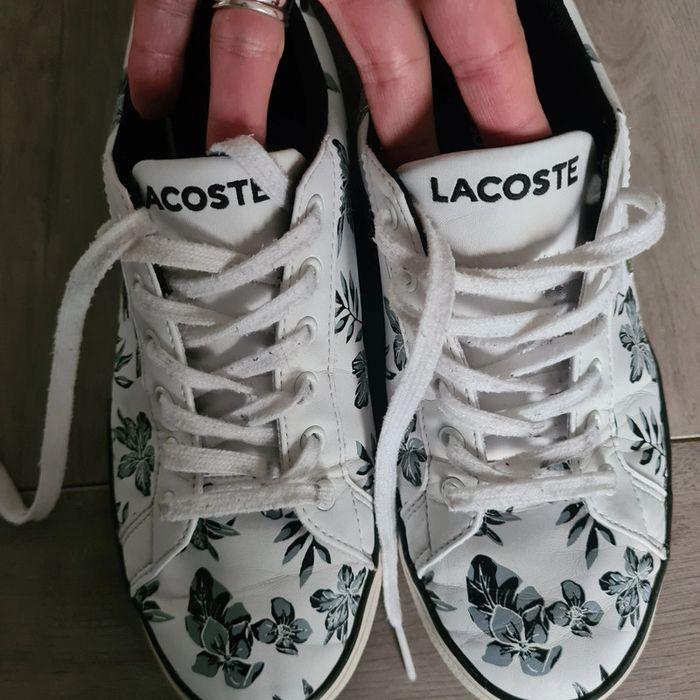 Basket femme Lacoste t 37.5 - photo numéro 7