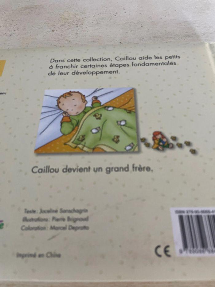 Caillou la petite sœur - photo numéro 2