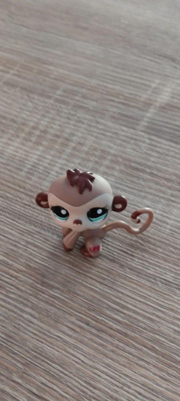 Singe Littlest Pet Shop - photo numéro 4