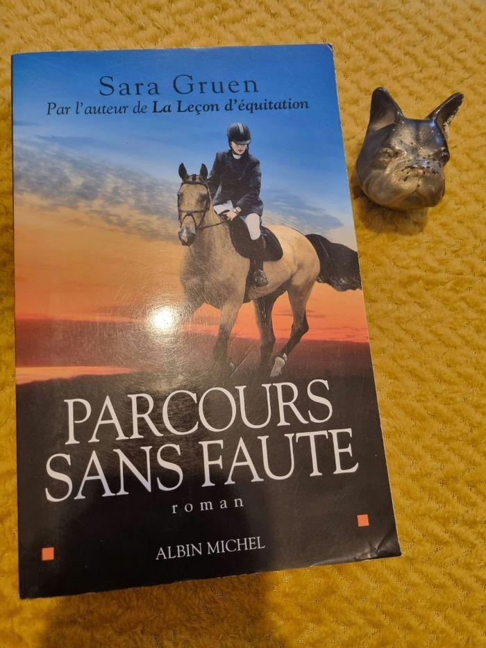 Parcours sans faute - photo numéro 1