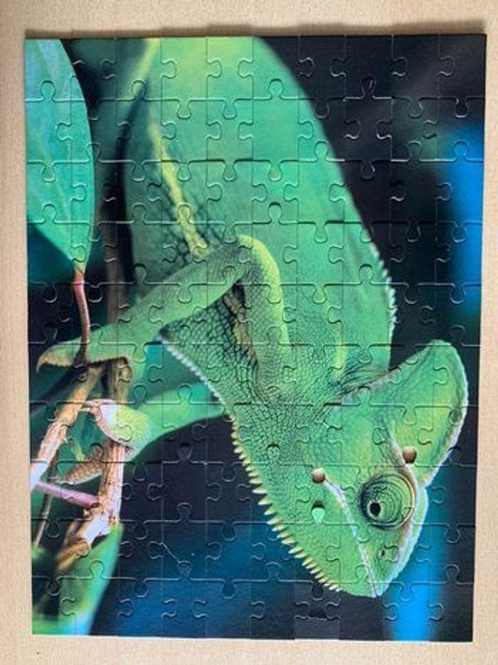 Puzzle animaux 4*100 pièces animaux exotiques - photo numéro 6