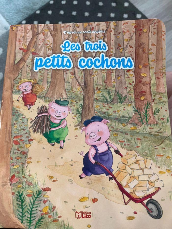 Les trois petits cochons - photo numéro 1