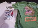 Lot t shirt dinosaure