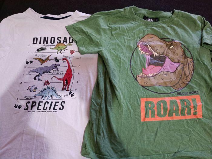 Lot t shirt dinosaure - photo numéro 1