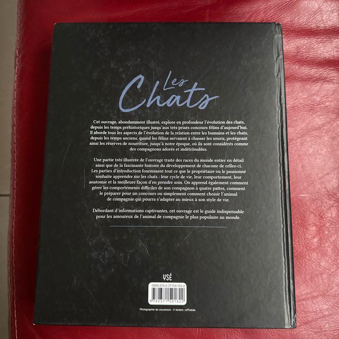 Livre les chats, grand format - photo numéro 2