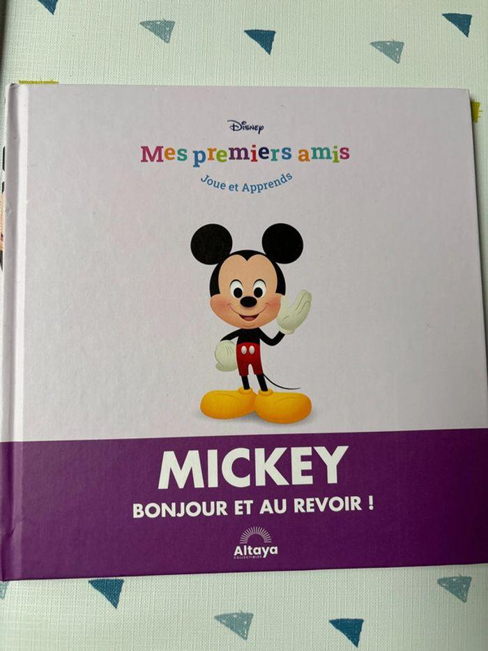 livre mickey - photo numéro 1