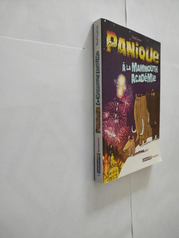 Livre panique à la mammouth académie - photo numéro 7