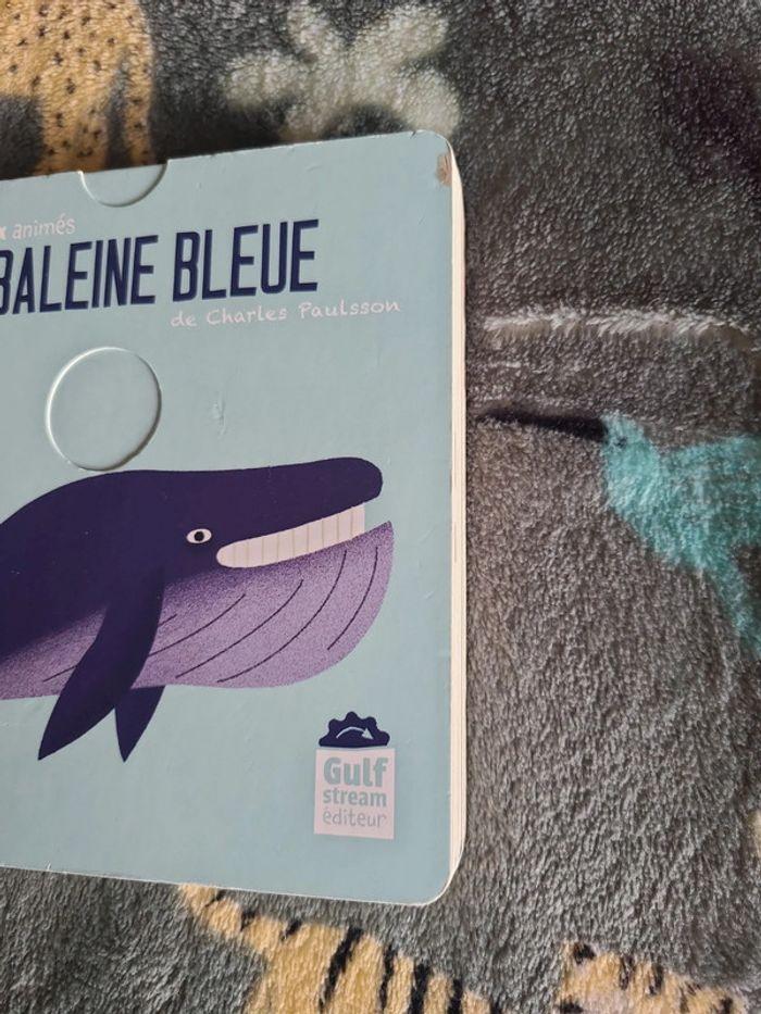 La baleine bleu - photo numéro 2