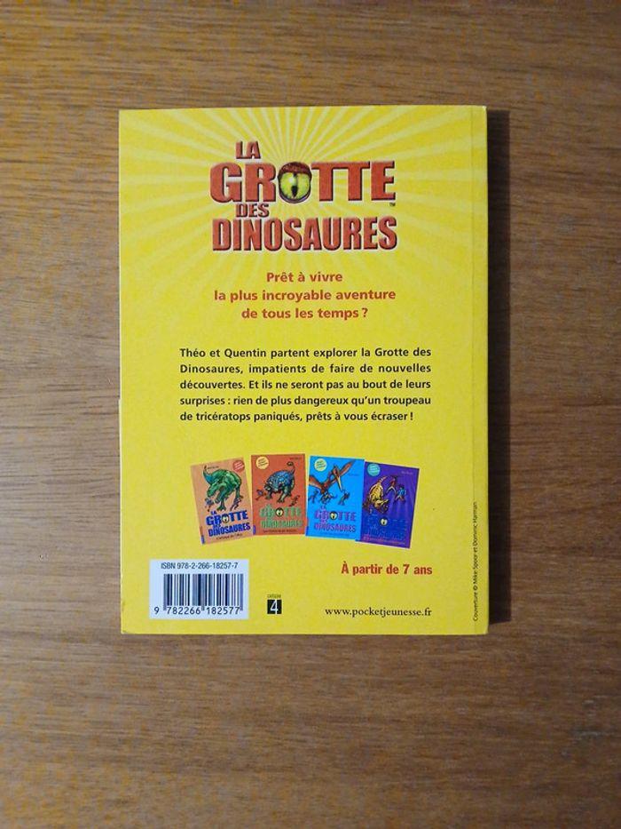 Lot la grotte des dinosaures - photo numéro 4