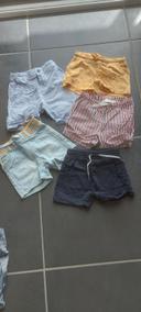 Lot shorts