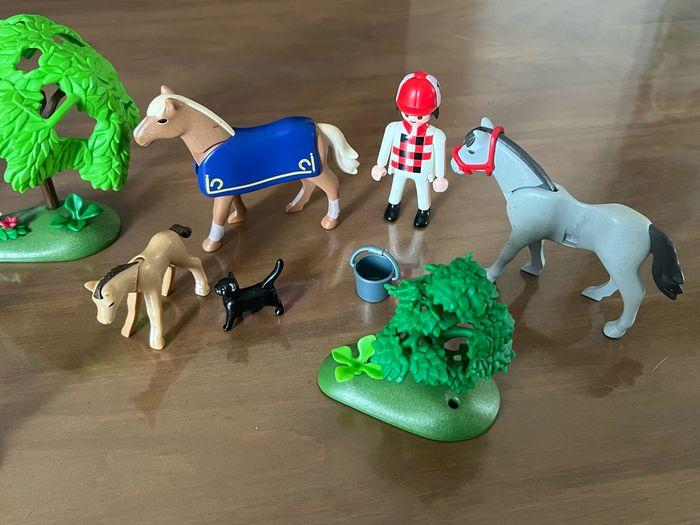 Lot Playmobil équestre - photo numéro 4