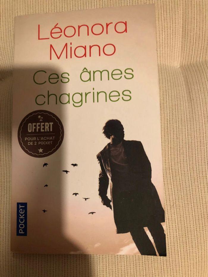 Livre ces âmes chagrines - photo numéro 1