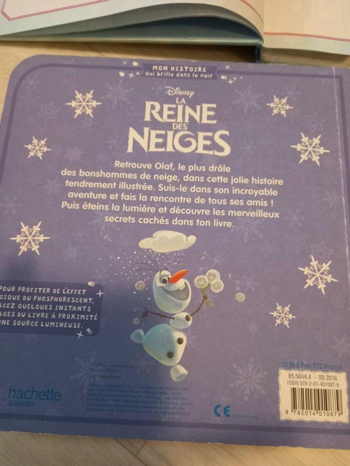 Livres Reine des neiges - photo numéro 4