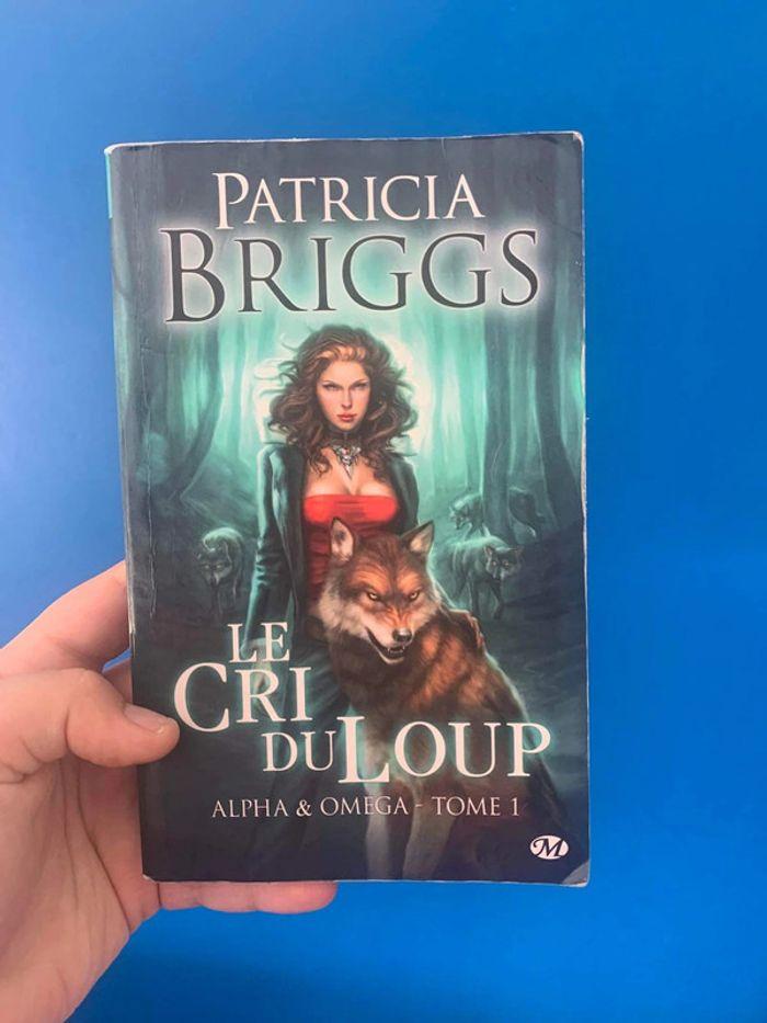 Lot de 2 livres Patricia Briggs - photo numéro 1