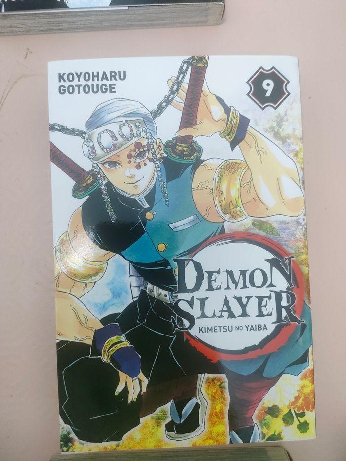 Démon slayer 11 mangas - photo numéro 4